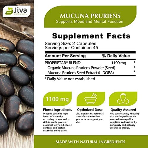 Jiva Botanicals - Mucuna Pruriens Capsules 1100 mg - Precursor to Dopamine Supplements - Velvet Beans containing L Dopa (L-Dopa) - Mucuna Pruriens Extract in Mucuna Pruriens Powder Form - 90 Capsules