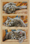 Dimensions 70-35301 Max the Cat Counted Cross Stitch Kit, 14 Count Beige Aida, 10" x 15"
