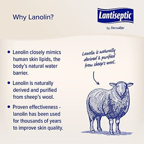DermaRite Lantiseptic Moisture Shield Original Skin Protectant – 50% Lanolin Enriched Skin Protectant Barrier Cream for Incontinence – Paraben Free, 1 Jar, 4.5oz