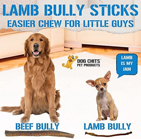 Dog Chits Lamb Pizzle (Lamb Bully Sticks) for Dogs and Puppies | 8-12-inch | All Natural Treats | Tasty Chew for Large and Small Dogs | Grass Fed Lamb | Low Odor | 8 oz (12 Pieces+)