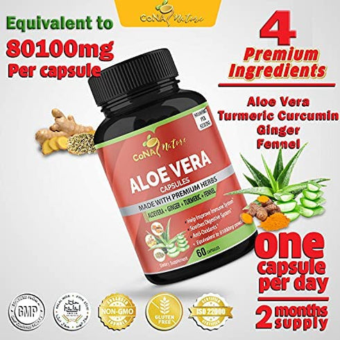 Organic Aloe Vera Extract Capsules Equivalent to 80100MG & Turmeric, Ginger, Fennel| Support Immune, Digestion| Natural Anti-Inflammatory, Antioxidants| Multi Nutrients, Vitamins, Minerals Supplement