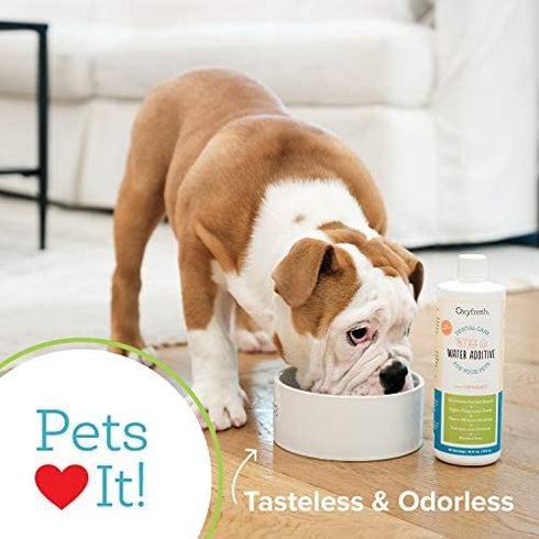 Oxyfresh Premium Pet Dental Care Solution Pet Water Additive: Best Way to Eliminate Bad Dog Breath and Cat Bad Breath - Fights Tartar & Plaque - So Easy, Just Add to Water! Vet Recommended 8 oz.