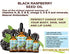 BLACK RASPBERRY SEED OIL. 100% Pure / Natural / Undiluted / Virgin / Unrefined / Cold Pressed Carrier oil. 0.5 Fl.oz.- 15 ml. For Skin, Hair, Lip and Nail Care. "One of the highest antioxidants, rich in vitamin A and E, Omega 3, 6 and 9 Essential Fatty Ac