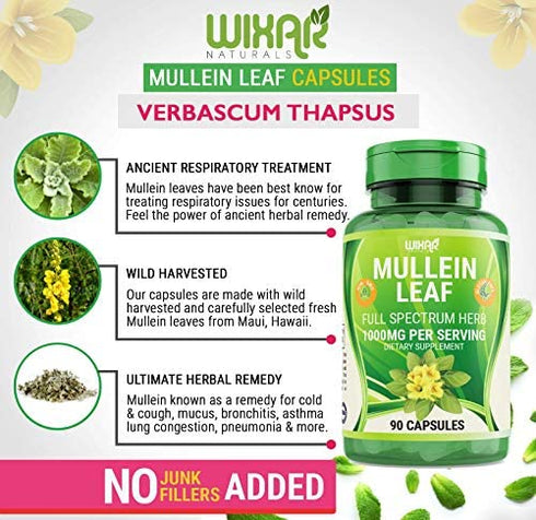 WIXAR NATURALS Mullein Leaf Capsules - 90 Capsules - Herbal Supplement Supports Healthy Respiratory Function & Mucous Membranes - 1000 mg - Natural Mullein for Lung Cleanse Support