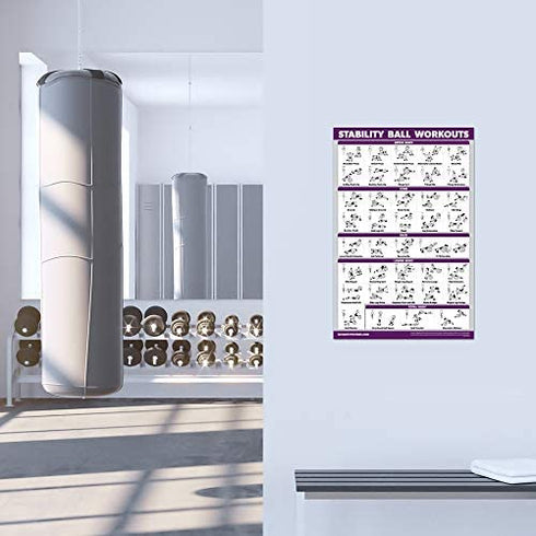2 Pack: Half Balance Ball Workout Poster + Yoga Ball Exercise Chart - Set of 2 Workout Posters