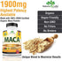 Organic Maca Root Black, Red, Yellow 1900 MG per Serving - 150 Vegan Capsules Peruvian Maca Root Gelatinized 100% Pure Non-GMO Supports Reproductive Health Natural Energizer