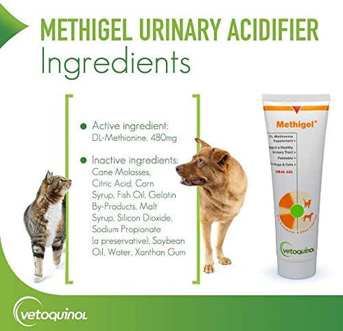 Methigel Urinary Acidifier 4.25 Oz Tube