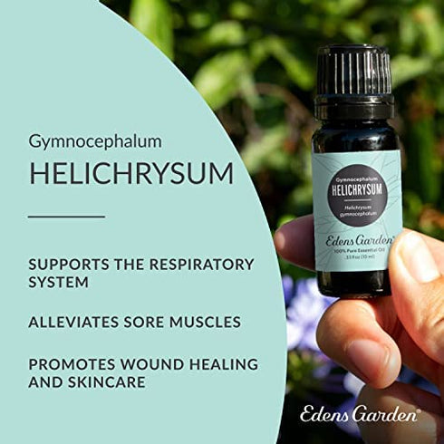 Edens Garden Helichrysum- Gymnocephalum Essential Oil, 100% Pure Therapeutic Grade (Undiluted Natural/ Homeopathic Aromatherapy Scented Essential Oil Singles) 10 ml