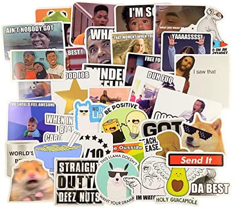 (122 Pcs) Funny Meme Vinyl Stickers Pack, Vine Stickers for Laptop, iPhone, Water Bottles, Computer, and Hydro Flask, DIY Decor for Bumper Wall
