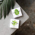 Simply Gum | Variety Pack - Peppermint, Spearmint | Pack of Six (90 Pieces Total) | Synthetic Free + Aspartame Free + non GMO