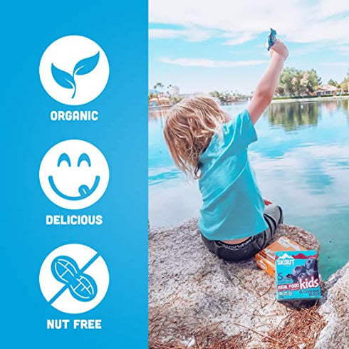 Skout Organic Blueberry Blast Real Food Bars for Kids (6 Pack) | Organic Snacks for Kids | Plant-Based Nutrition, No Refined Sugar | Vegan & Paleo | Gluten, Dairy, Grain, Peanut, Tree Nut & Soy Free