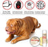 The Blissful Dog Elbow Butter Moisturizes Your Dog's Elbow Calluses - Dog Balm, 2-Ounce