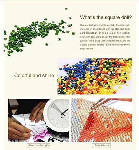 DIY 5D Full Drill American Native Indian Beauty and White Horse Square Diamond Painting by Number Kits for Adults & Children Crystal Rhinestone Cross Stitch for Wall Decoration Gift 30x40CM/12x16IN