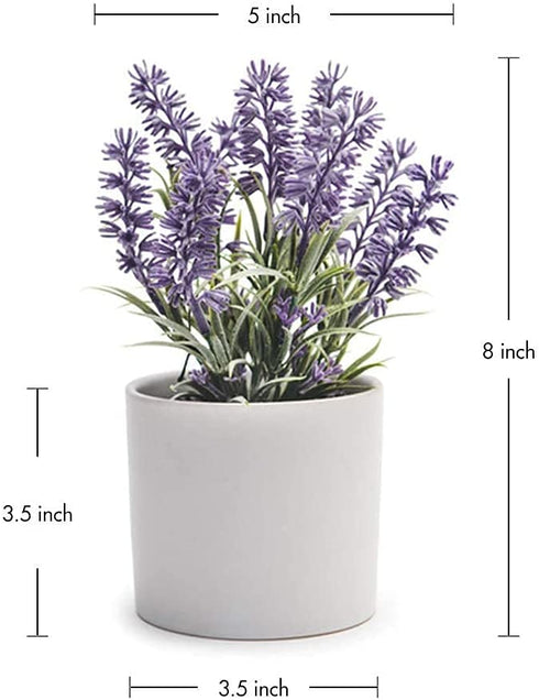 Kurrajong farmhouse Fake Lavender Artificial Plant | Artificial Lavender in White Pot | Realistic Faux Lavender Plant | Stunning Lavender Faux Plants Indoor | Lavender Decor | Fake Lavender Plant