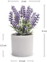 Kurrajong farmhouse Fake Lavender Artificial Plant | Artificial Lavender in White Pot | Realistic Faux Lavender Plant | Stunning Lavender Faux Plants Indoor | Lavender Decor | Fake Lavender Plant