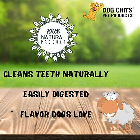 Dog Chits Lamb Pizzle (Lamb Bully Sticks) for Dogs and Puppies | 8-12-inch | All Natural Treats | Tasty Chew for Large and Small Dogs | Grass Fed Lamb | Low Odor | 8 oz (12 Pieces+)