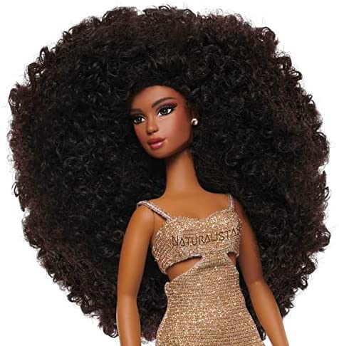Naturalistas 11.5-inch Fashion Doll and Accessories Dayna, Curly 3C Textured Hair, Medium Brown Skin Tone, Designed and Developed by Purpose Toys