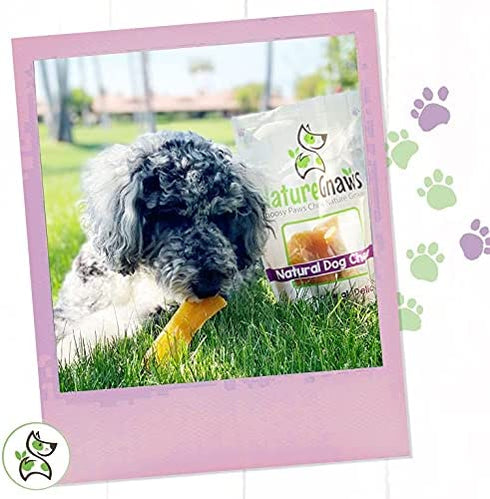 Nature Gnaws Paddywack Tendons for Dogs - Premium Natural Beef Dental Bones - Long Lasting Dog Chew Treats for Medium & Large Dogs - Rawhide Free