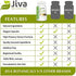 Jiva Botanicals - Bacopa Monnieri Capsules - Brahmi Capsules - Bacopa Extract Capsules - Bacopa Capsules - Bacopa Monnieri Extract - Bacopa 300mg - Bacopa Supplement & Brahmi Supplement - 60 Capsules