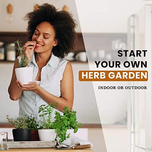 3600+ Herb Seeds - 12 Heirloom Varieties, Non-GMO Herbs Seeds for Planting Indoors & Outdoors | Culinary Herb Garden Seed Pack: Basil, Cilantro, Thyme, Mint, Oregano, Chives, Dill, Parsley, Tarragon