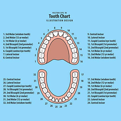2 Pieces Baby Teeth Keepsake Box Tooth Holder Kids Teeth Keepsake Holder Teeth Container for Lost Teeth Cute Kids Deciduous Teeth Collection to Keep The Childhood Memory (Blue and Pink)
