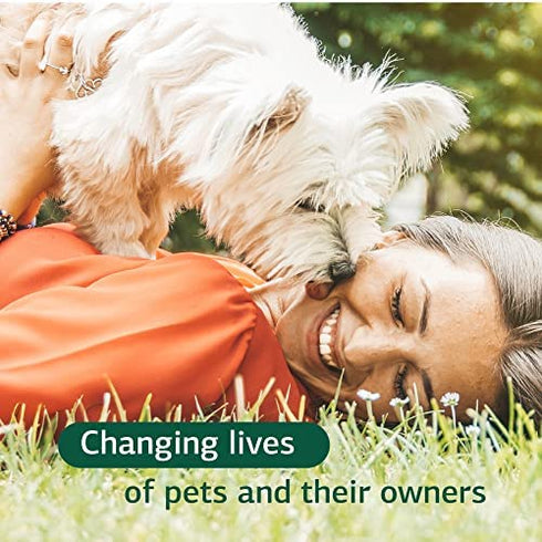 Standard Process - Canine Dermal Support - Healthy Skin for Dogs - 30 Grams