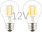 OPALRAY Low Voltage 12V Input Edison Style Classical A60(A19) Bulb, Dimmable with 12V DC Dimmer, 6W 600LM, 4000K Natural White, E26 Medium Base, 60W Incandescent Equivalent, 12V-24V DC Power, 2 Pack