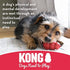 KONG - Goodie Bone with Rope - Durable Rubber Chew Bone, Teeth Cleaning Dog Toy - for Medium Dogs