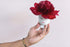 Celfie Vase (Small, Vanilla)