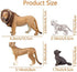 TOYMANY 8PCS 2-5" Plastic Jungle Animals Figure Playset Includes Baby Animals, Realistic Lion,Tiger,Cheetah,Black Panther Figurines with Cub, Cake Toppers Christmas Birthday Toy Gift for Kids Toddlers