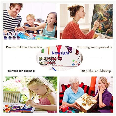 DIY Oil Painting Newsight Paintworks Paint by Number for Kids and Adults (16" x 20"Color Cat)