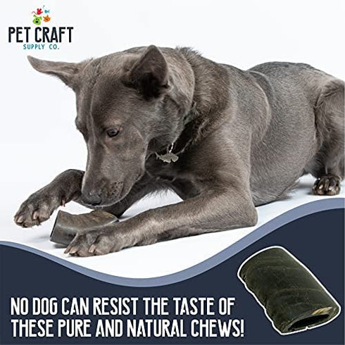 Natural Water Buffalo Tuffie Horns - Pure Grass Fed Buffalo | Dog Bones for Aggressive Chewers | Puppy Teething Chew | Puppy Supplies | Dog Treats | Dog Bones for Large Dogs