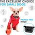Small Dog Bark Collar Rechargeable - Anti Barking Collar for Small Dogs - Smallest Most Humane Stop Barking Collar - Dog Training No Shock Bark Collar Waterproof - Safe Pet Bark Control Device