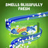 Gain Fabric Softener Dryer Sheets, Blissful Breeze, 120 Count