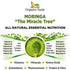 Organic Veda Moringa Capsules – 100% Pure Moringa Supplement Made from Organic Raw Dried Moringa Leaf - Non-GMO Whole Green Super Food Nutrition (300 Count)