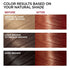 L'Oreal Paris Superior Preference Fade-Defying + Shine Permanent Hair Color, 6AB Chic Auburn Brown, Pack of 1, Hair Dye