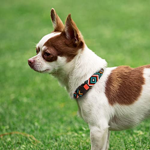 CollarDirect Purple Geometric Dog Collar, Pet Collar for Small Medium Large Dogs or Puppies with Quick Release Buckle, Yellow Orange Pattern, Adjustable Nylon (Teal, Neck Fit 10"-13")