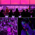 SHGPODA 33ft LED Black Light Strip Kit, 600 Units, 385nm-400nm, 12V Flexible Blacklight Fixtures, 10M LED Ribbon, Non-Waterproof for Indoor, Birthday, Wedding, Dark Party, Halloween, Christmas