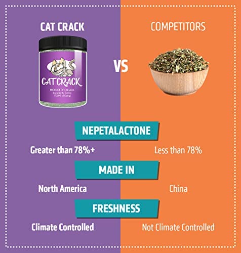 Cat Crack Organic Catnip, Premium Safe Nip Blend, Infused with Maximum Potency Your Kitty Will be Sure to Go Crazy for (1 Cup)