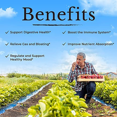 VITALITOWN Probiotics 120 Billion CFUs | 36 Strains, with Prebiotics & Digestive Enzymes for Men Women | Shelf Stable | Digestive & Immune Support | Vegan, Non-GMO | 30 Delayed Release Veg Caps