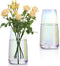Lyellfe 2 Pack Modern Glass Vase for Flower, Clear Decorative Iridescent Vase, 8.6" Tall Irised Ins Handicraft Creative Table Vase for Centerpieces, Living Room, Home, Office, Gifts, Wedding