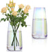 Lyellfe 2 Pack Modern Glass Vase for Flower, Clear Decorative Iridescent Vase, 8.6" Tall Irised Ins Handicraft Creative Table Vase for Centerpieces, Living Room, Home, Office, Gifts, Wedding