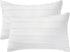 BOSOWOS Queen Size Pillow Case Set of 2, Ultra Soft Breathable 20 x 30 Inches Pillow Shams Envelope Closure, Microfiber Boho Farmhouse Pillowcases for Easy Care, White