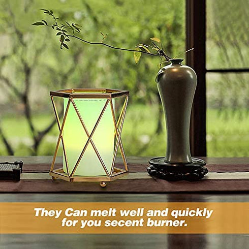 ETwinCoo Wax Warmer Bulbs, G50 25 Watt Light Bulbs for Full Size Scentsy Warmers, G16.5 Globe E12 Base Clear Scentsy Light Bulbs for Wax Warmers - Long Life-Span and Melt Wax Fast, 120 Volt (6 Pack)