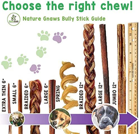 Nature Gnaws Bully Sticks Combo Pack - Premium Natural Beef Dental Bones - Long Lasting Dog Chew Treats for Aggressive Chewers - Rawhide Free