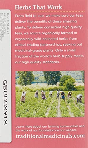 Traditional Medicinals Organic Pregnancy Tea Raspberry Leaf Herbal Tea, Supports Healthy Pregnancy, (Pack of 1) - 16 Tea Bags