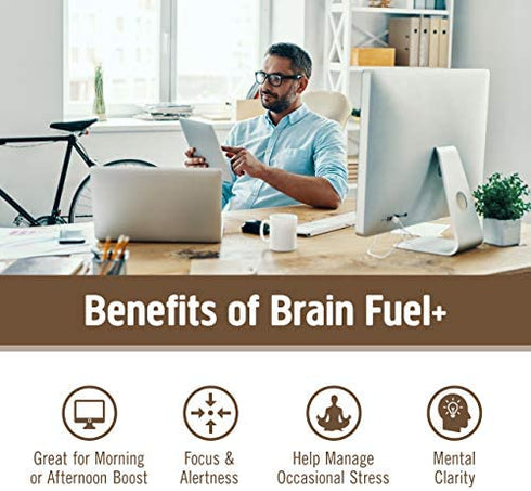 Om Mushroom Superfood Brain Fuel Plus Mushroom Powder Drink Mix, Mocha Flavor, Single Serve, 10 Count, Lions Mane & Rhodiola, Memory & Focus Support Supplement