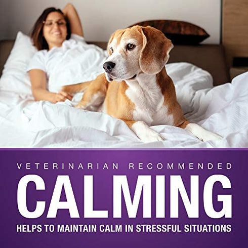 VetIQ Calming Support Supplement for Dogs, Anxiety Supplement Soft Chews, 90 Count