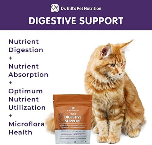 Dr. Bill’s Feline Digestive Support | Pet Supplements | Probiotics for Cats | Contains Ginger Root, Psyllium Husk, Lemon Balm, Bifidobacterium, and Fructooligosaccharides