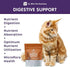 Dr. Bill’s Feline Digestive Support | Pet Supplements | Probiotics for Cats | Contains Ginger Root, Psyllium Husk, Lemon Balm, Bifidobacterium, and Fructooligosaccharides